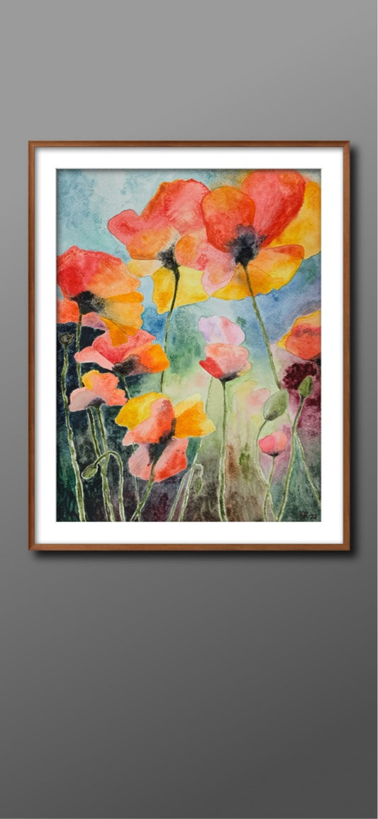 Poppies