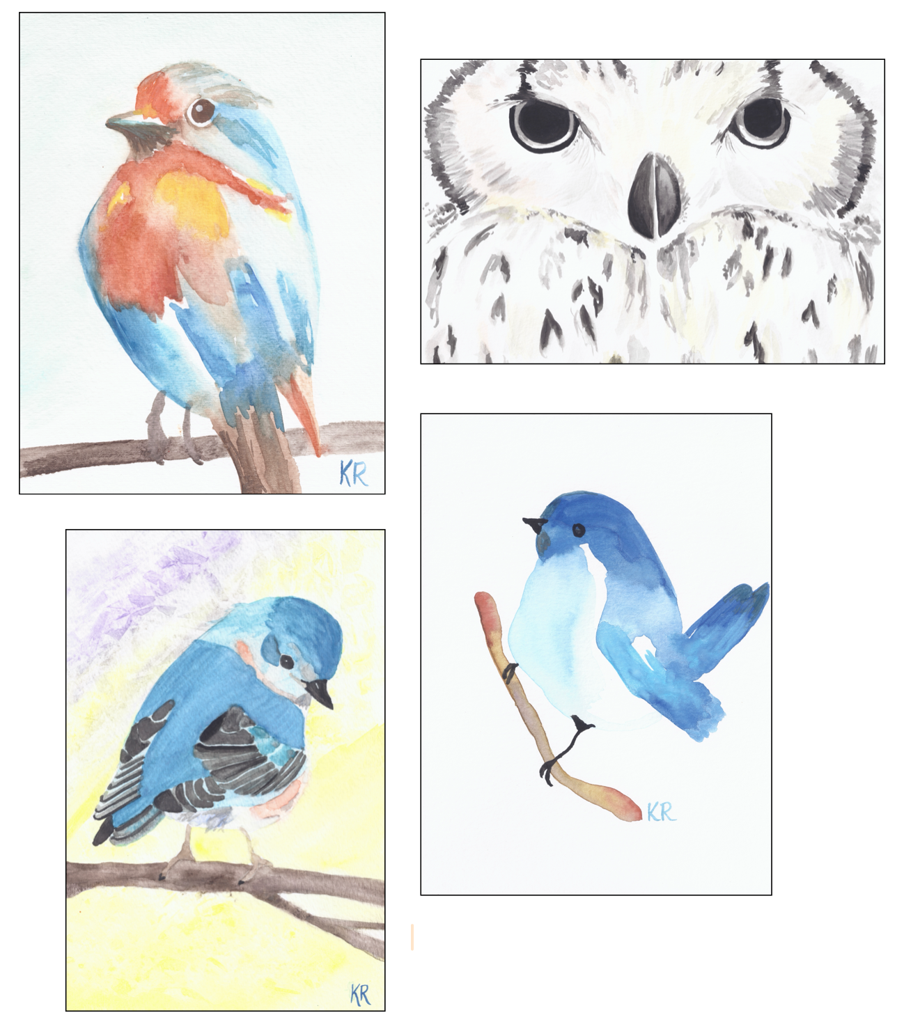 Birds Notecards