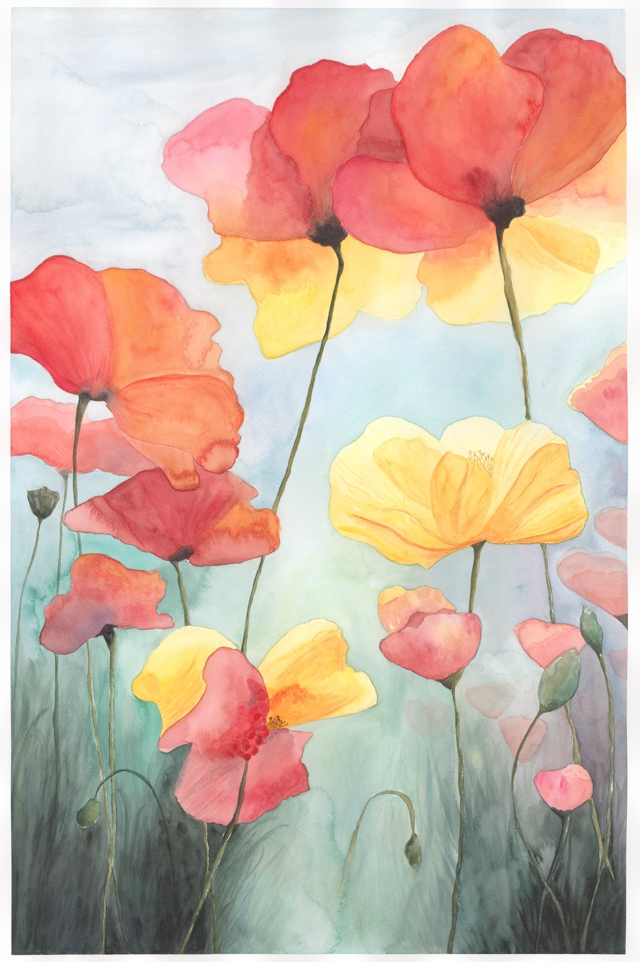 May Poppies - Framed or Unframed Watercolor Print