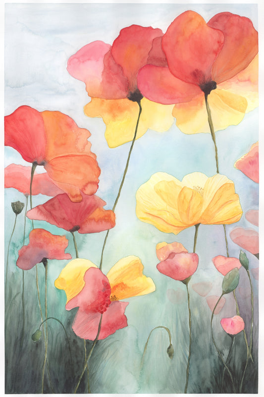 May Poppies - Framed or Unframed Watercolor Print